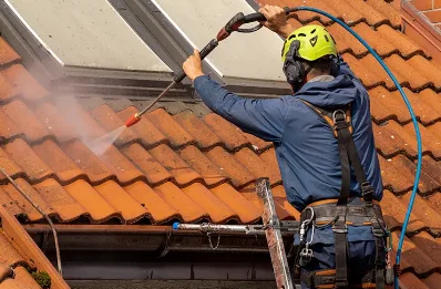 Démoussage et hydrofuge de toiture à Morand